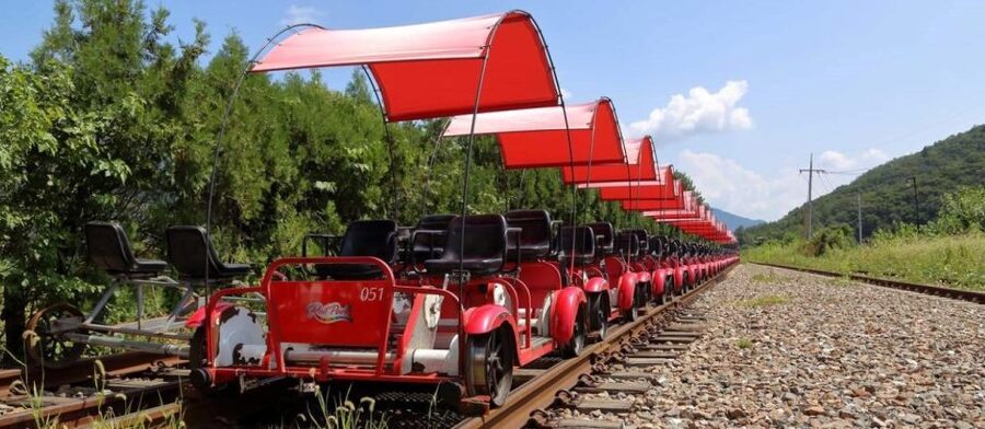 Seoul: Nami, Petite France, Italian Village, Railbike Option - Nami Island by ferry and foot