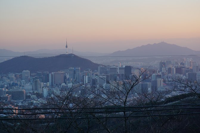 Seoul Night "Private Tour"(Korean BBQ, N-Tower, Seoul Fortress, Local Market) - N Seoul Tower: famous, useful, and potentially costly