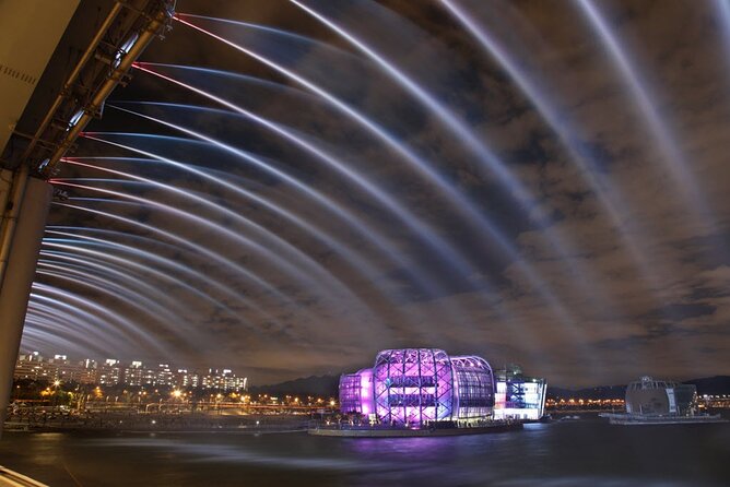 Seoul Night Tour with Han River Cruise and Gyeongbokgung Palace - Key things to know before booking