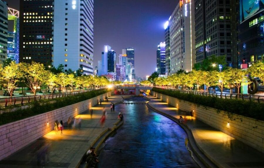 Seoul: Nighttime Tour of Palace, Market, Naksan Park & More - Gwangjang Market: let dinner be your decision