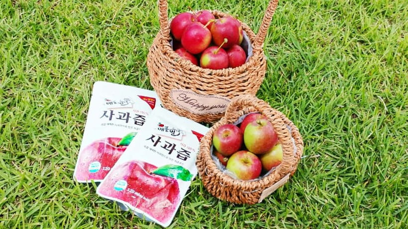 Seoul: Pocheon Art Valley, Garden and Fruit Picking Day Tour - Key Points Before You Book