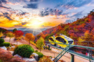 Pocheon Art Valley, Garden and Fruit Picking Day Tour
