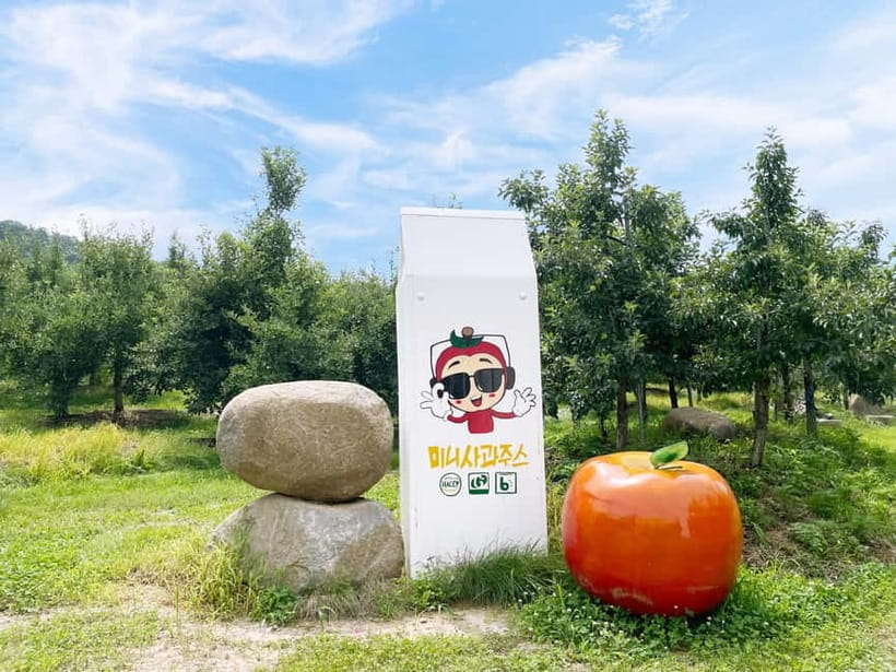 Seoul: Pocheon Art Valley, Garden and Fruit Picking Day Tour - The Bus Rides and Guide Service