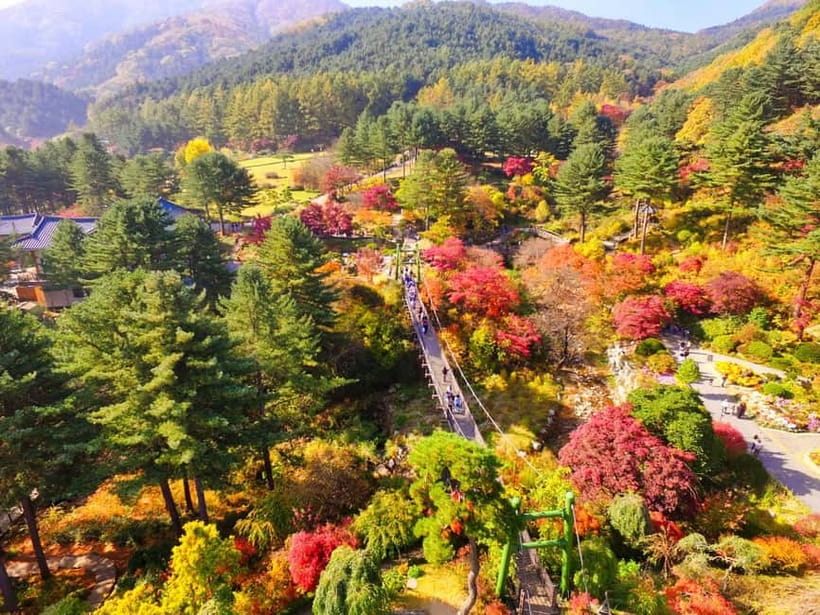 Seoul: Pocheon Art Valley, Garden and Fruit Picking Day Tour - Who Will Enjoy This Most?