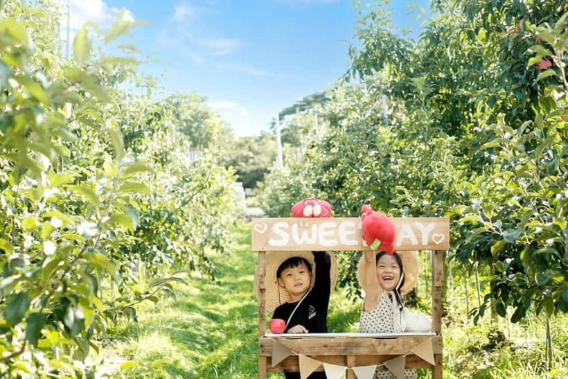 Seoul: Pocheon Art Valley, Garden and Fruit Picking Day Tour - Should You Book This Pocheon Tour?