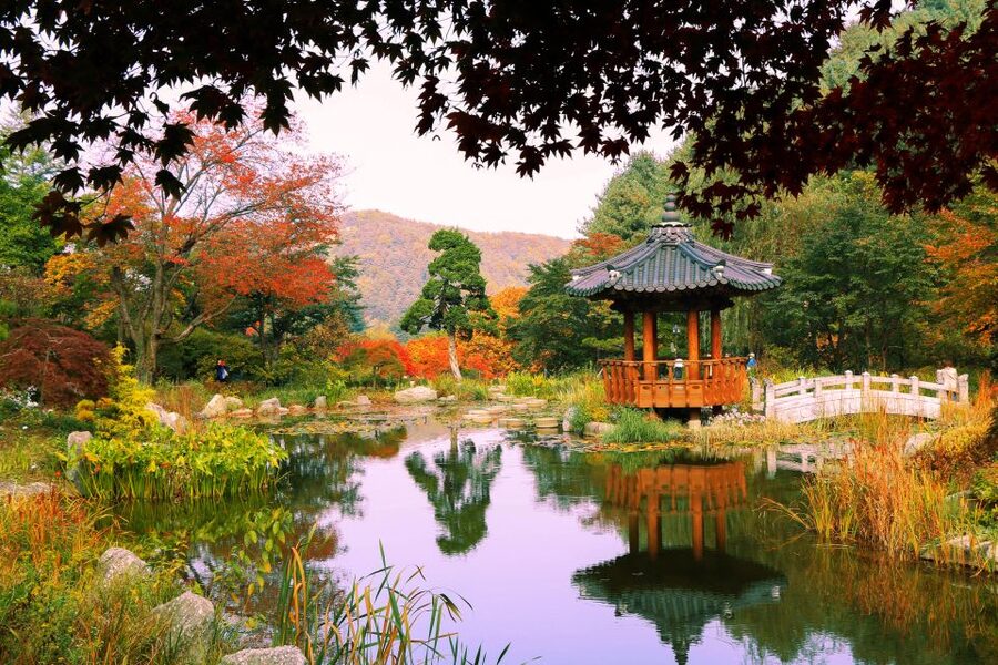 Seoul: Private Customizable Tour to Nami Island and More - Is $470 Good Value?