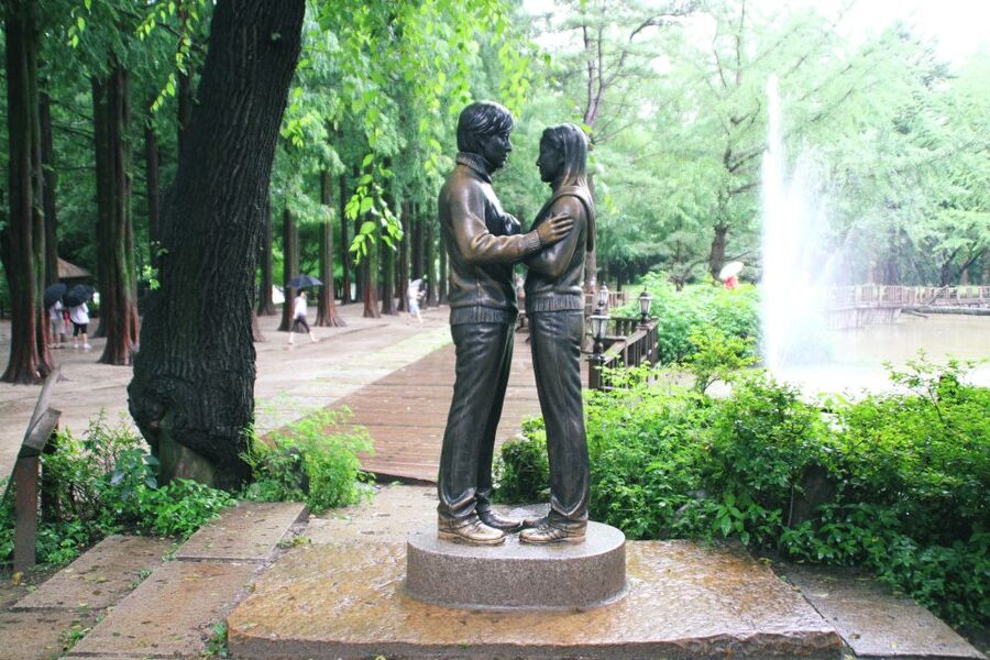 Seoul: Private Customizable Tour to Nami Island and More - Arriving at Nami Island