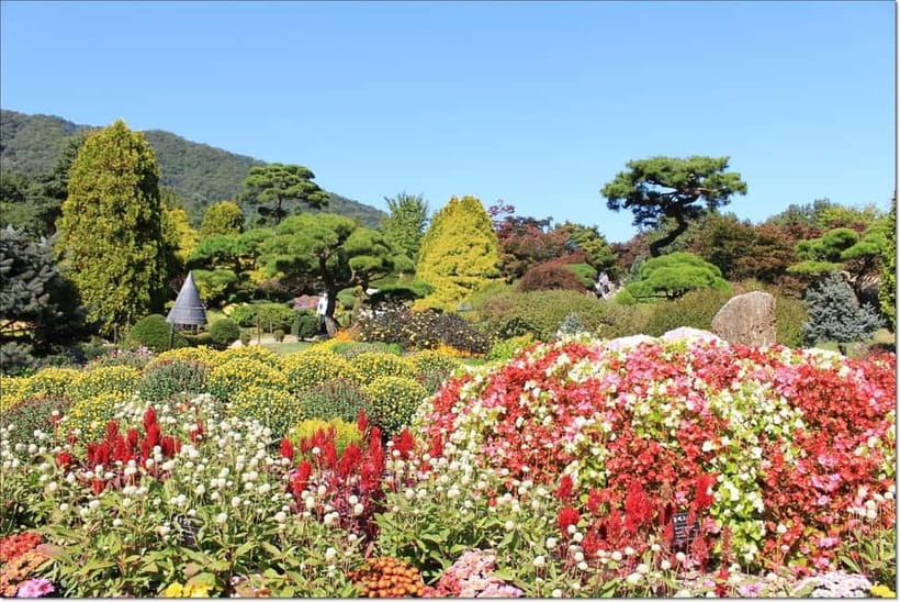 Seoul: Private Tour to Nami Island, Garden, Petite France - Petite France and the Little Prince atmosphere
