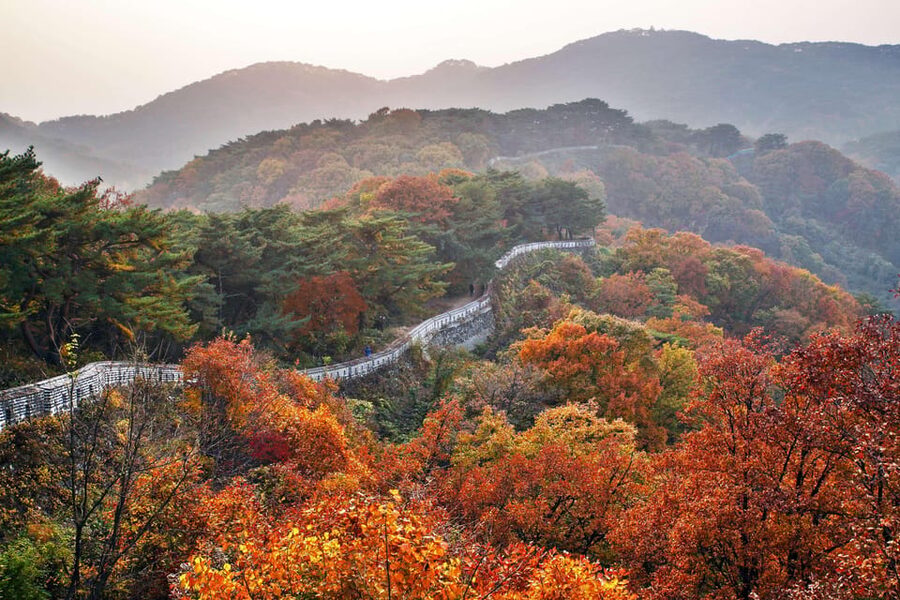 Seoul: Royal Tomb of King Sejong & Icheon Ceramic (EG Tour) - Timing, weather, and practical concerns