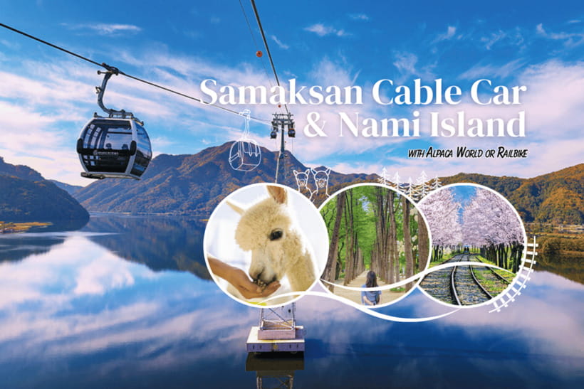 Seoul: Samaksan Cable Car & Nami with Alpaca World/Railbike - Alpaca World for a gentle family stop
