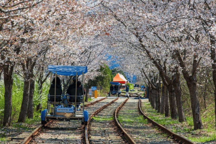 Seoul: Samaksan Cable Car & Nami with Alpaca World/Railbike - Samaksan Cable Car and the 35-meter Skywalk