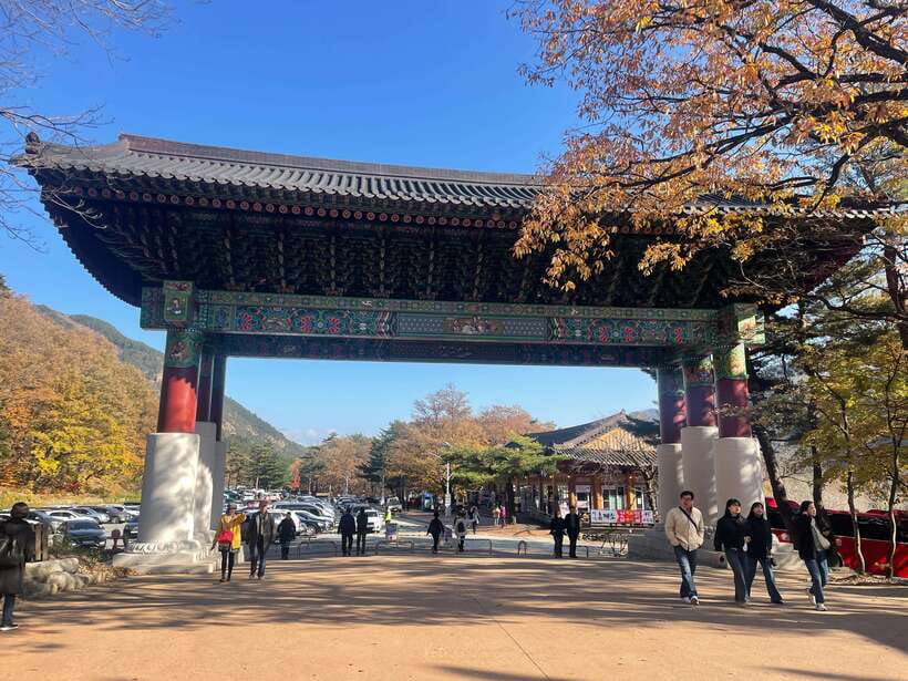 Seoul: Seorak Mountain, East DMZ, and Sokcho Tour - Key points to know before booking