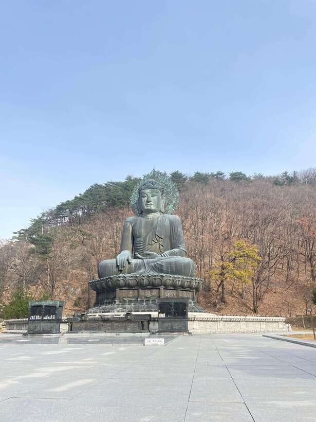 Seoul: Seorak Mountain, East DMZ, and Sokcho Tour - Why this Seoul day trip covers so much