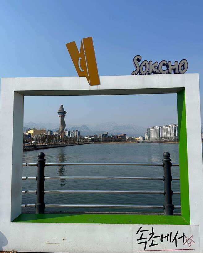 Seoul: Seorak Mountain, East DMZ, and Sokcho Tour - Sokcho Central Market: lunch with local choices