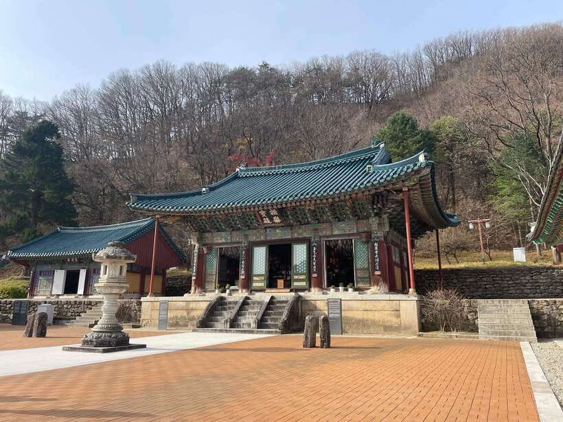 Seoul: Seorak Mountain, East DMZ, and Sokcho Tour - Who will get the most from this experience?