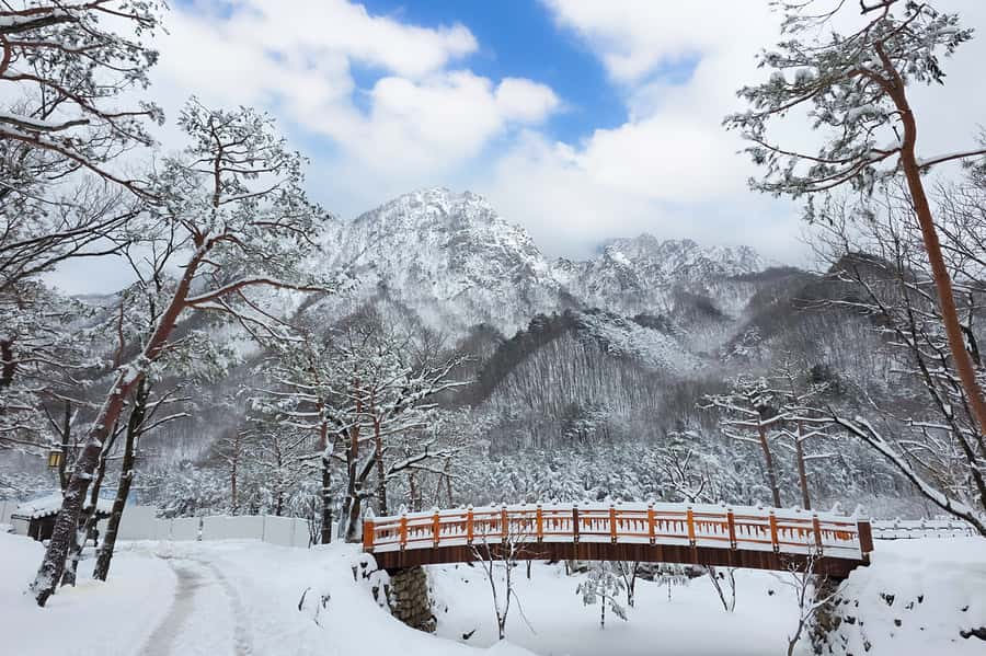 Seoul: Seorak Mountain+Nami Island+Eobi Ice Valley Tour - Nami Island: ferry views and K-Drama scenery