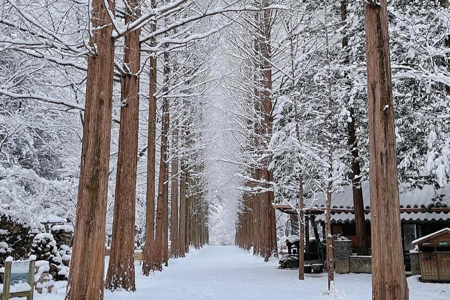 Seoul: Seorak Mountain+Nami Island+Eobi Ice Valley Tour - Eobi Ice Valley: a short stop with a big winter effect