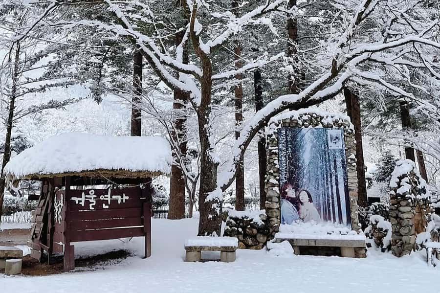 Seoul: Seorak Mountain+Nami Island+Eobi Ice Valley Tour - A self-guided rhythm with helpful transport