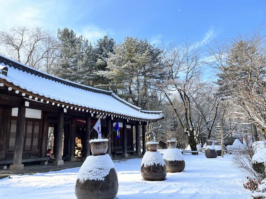 Seoul: Seorak Mountain+Nami Island+Eobi Ice Valley Tour - What the $79 price really covers