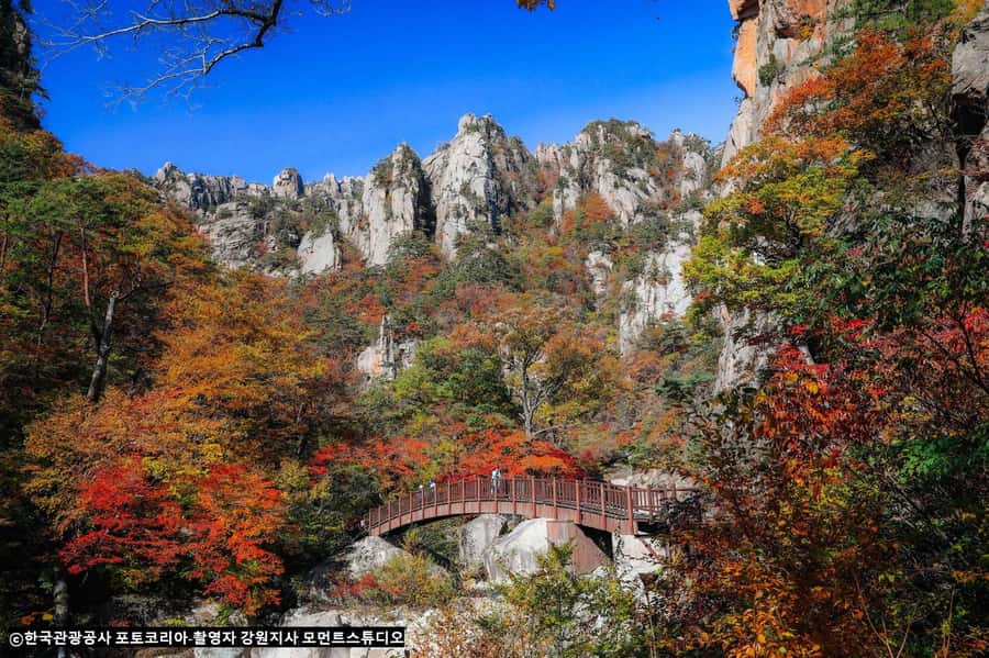 Seoul: Seorak Mountain+Nami Island+Eobi Ice Valley Tour - Practical advice for making the day easier