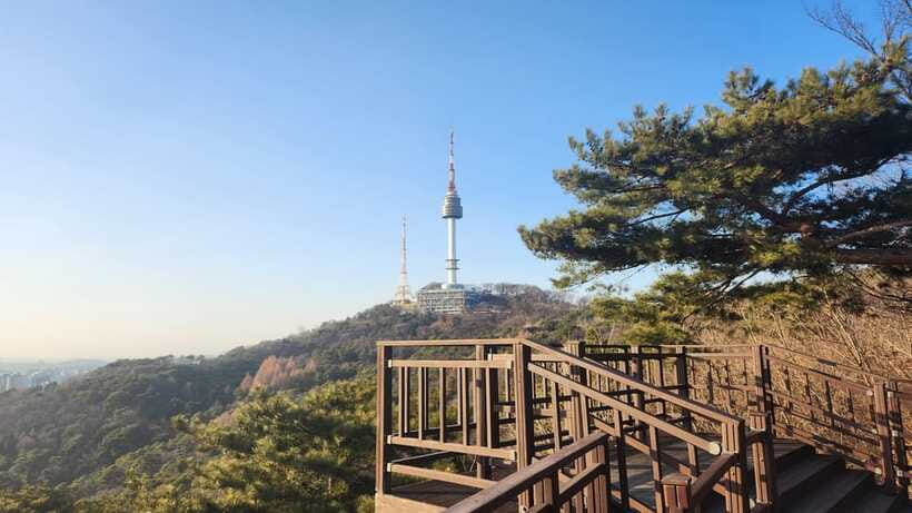 Seoul: Services of a Local for a Day (Paperwork/Tour/Fun) - K-pop, shopping, food, and drinks