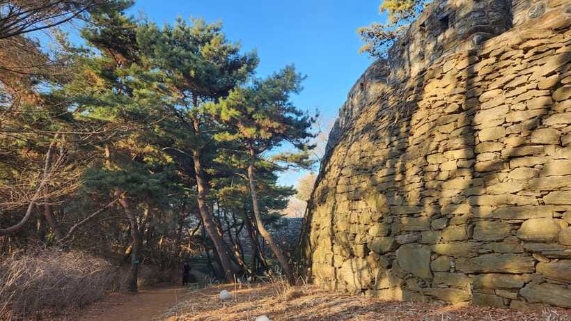 Seoul: Services of a Local for a Day (Paperwork/Tour/Fun) - Museums and activities when you want company