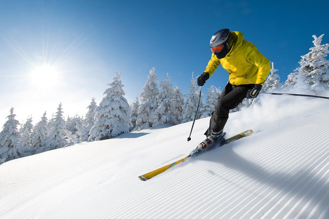 Seoul Ski Tour at Jisan Forest Resort - The 30-minute lesson for first-time skiers