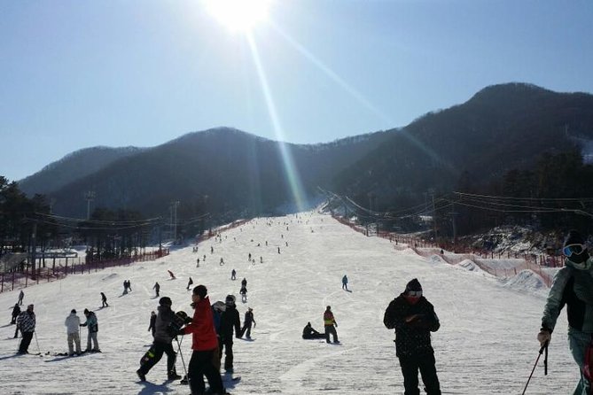 Seoul Ski Tour at Jisan Forest Resort - Guides make the day easier