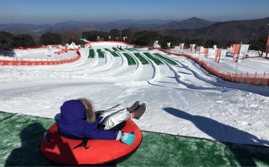Seoul: SnowyLand in Vivaldi Park with Nami or Alpaca - Key points to know before booking