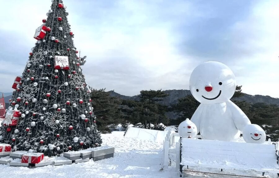 Seoul: SnowyLand in Vivaldi Park with Nami or Alpaca - Lunch is simple, separate, and worth planning