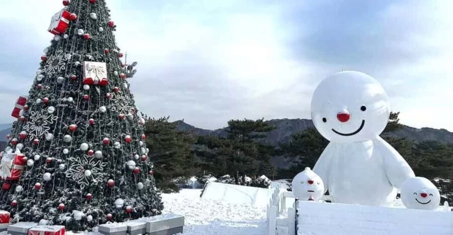 Seoul: SnowyLand in Vivaldi Park with Nami or Alpaca - How the transportation affects the experience
