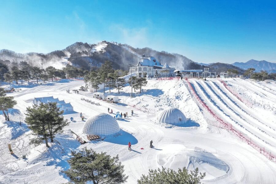 Seoul: SnowyLand in Vivaldi Park with Nami or Alpaca - Is $70 good value?
