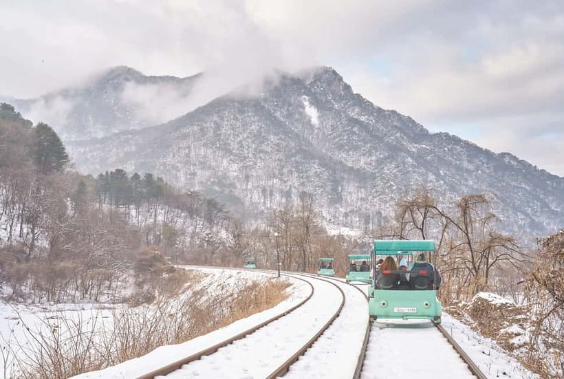 Seoul: Strawberry Picking & Eobi Ice Valley & Nami Island - Key points at a glance