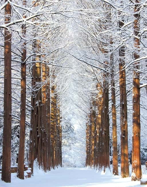 Seoul: Strawberry Picking & Eobi Ice Valley & Nami Island - Eobi Ice Valley and the frozen waterfall