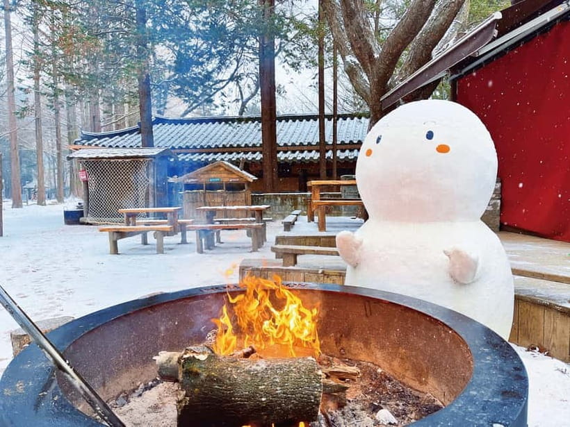 Seoul: Strawberry Picking & Eobi Ice Valley & Nami Island - Nami Island gets the longest visit