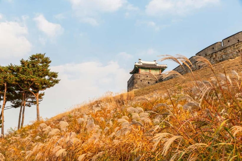Seoul: Suwon Hwaseong Fortress & Korean Folk Village Tour - What to watch and photograph at the village