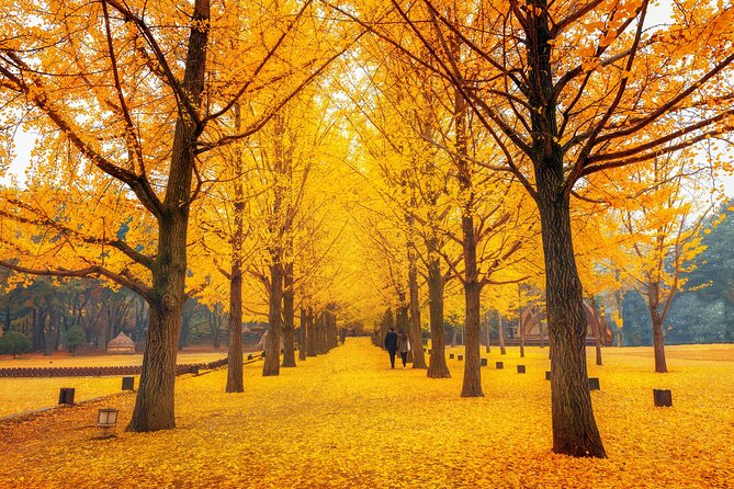 Seoul to/from Nami Island: Round trip Shuttle Bus Service - The return is the part you must manage