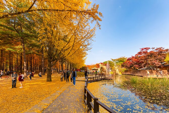 Seoul to/from Nami Island: Round trip Shuttle Bus Service - Communication, group size, and practical risks
