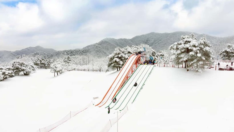 Seoul: Vivaldi Park Winter Ski with Eobi Ice Valley Day Tour - Why this Seoul winter trip works