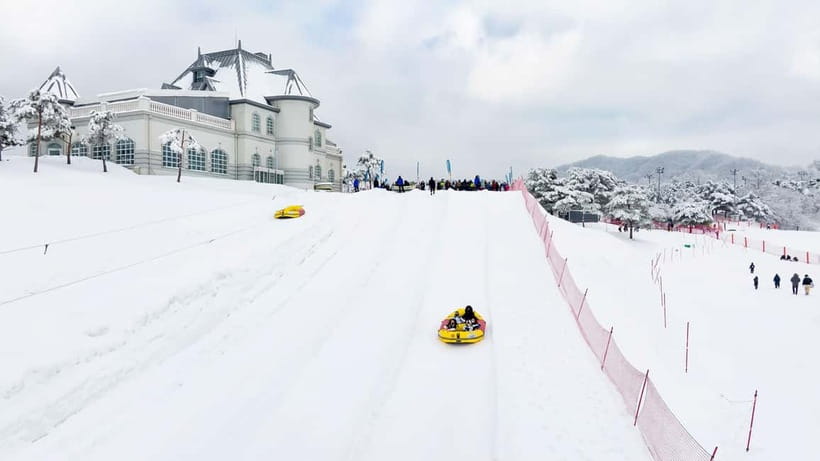 Seoul: Vivaldi Park Winter Ski with Nami Island Day Tour - Key points to know before booking