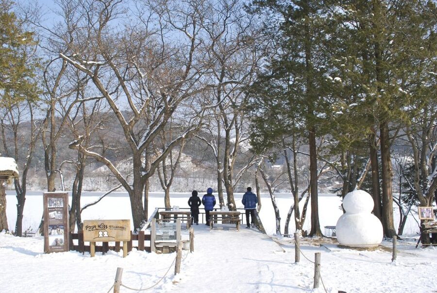 Seoul: Vivaldi Park Winter Ski with Nami Island Day Tour - Four hours at Vivaldi Park Ski World