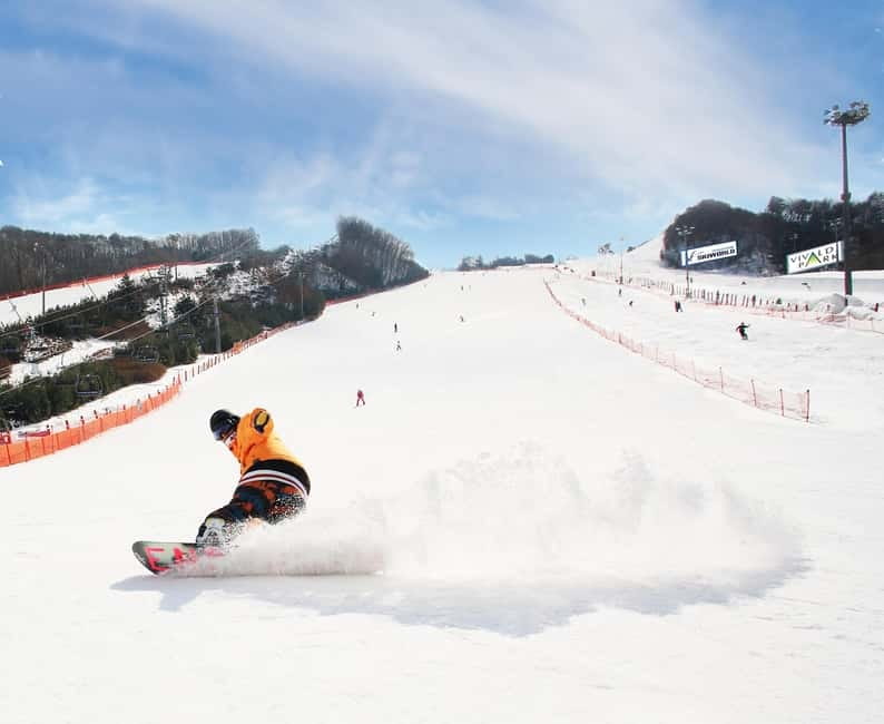 Seoul: Vivaldi Park Winter Ski with Nami Island Day Tour - Extra costs that can change the value