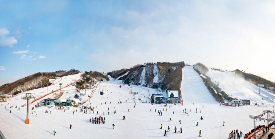 Seoul: Vivaldi Park Winter Ski with Nami Island Day Tour - Nami Island brings a calmer afternoon