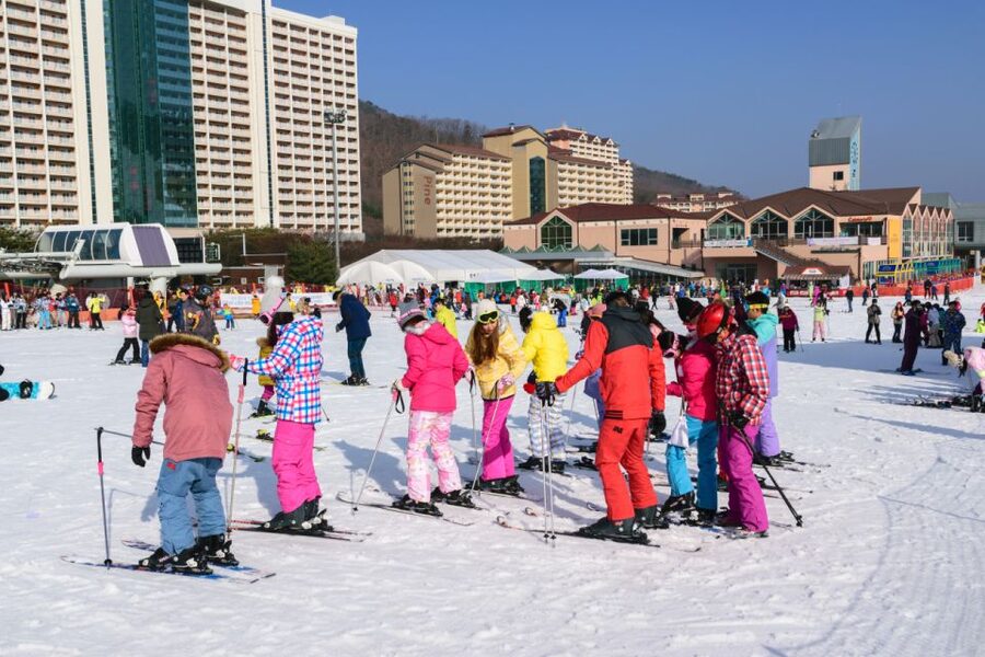 Seoul: Vivaldi Park Winter Ski with Nami Island Day Tour - Transport, timing, and the long return