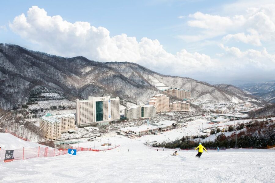 Seoul: Vivaldi Park Winter Ski with Nami Island Day Tour - What the guide support adds