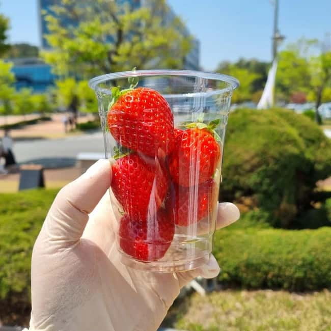 Seoul: Winter Day Tour in Pocheon (+Strawberry Picking) - Key points to know before booking