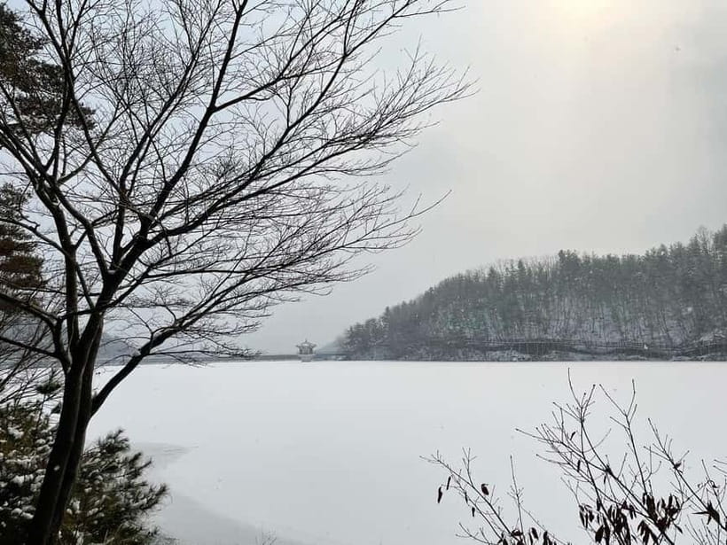 Seoul: Winter Day Tour in Pocheon (+Strawberry Picking) - Why this Pocheon day trip works in winter