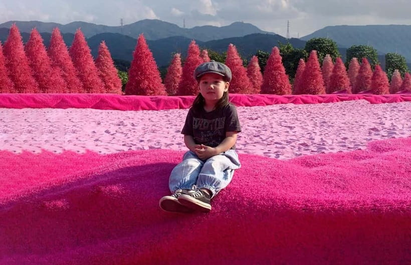 Seoul: Winter Day Tour in Pocheon (+Strawberry Picking) - Guides can make or break the day