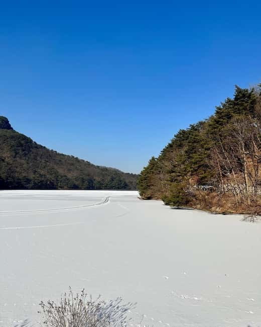 Seoul: Winter Day Tour in Pocheon (+Strawberry Picking) - Starting from Seoul at three pickup points