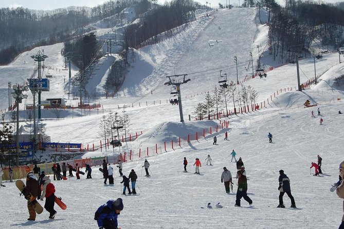 Ski Tour to Jisan Ski Resort from Seoul - The ginseng center on the ride back